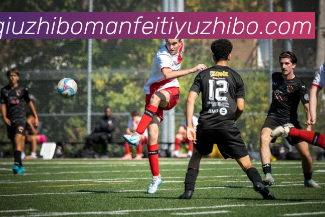 九球体育直播APP 体育赛事宣传图